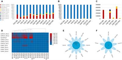 Spatial Virome Analysis of Zanthoxylum armatum Trees Affected With the Flower Yellowing Disease